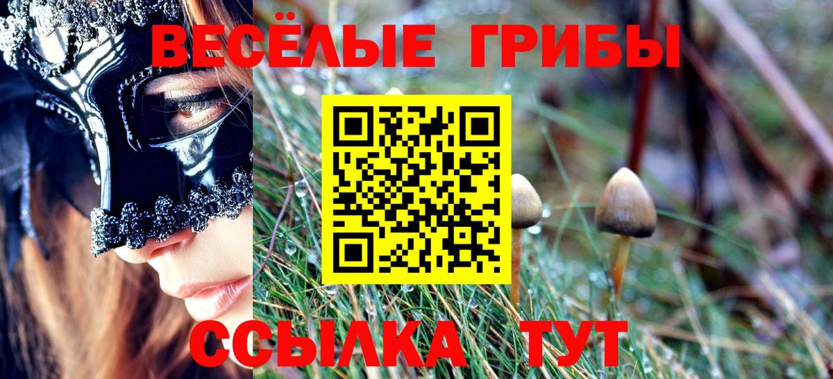 Карталы  Псилоцибиновые грибы ЛСД  Вход с VPN  Галлюциногенные грибы Psilocybe 