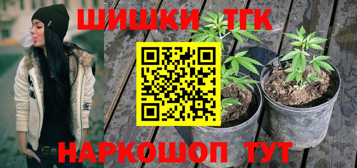 Бошки Шишки MAZAR  МАРИХУАНА сатива  Карталы  Вход с VPN  Шишки марихуана Ganja 